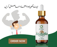 Shahi Tilla