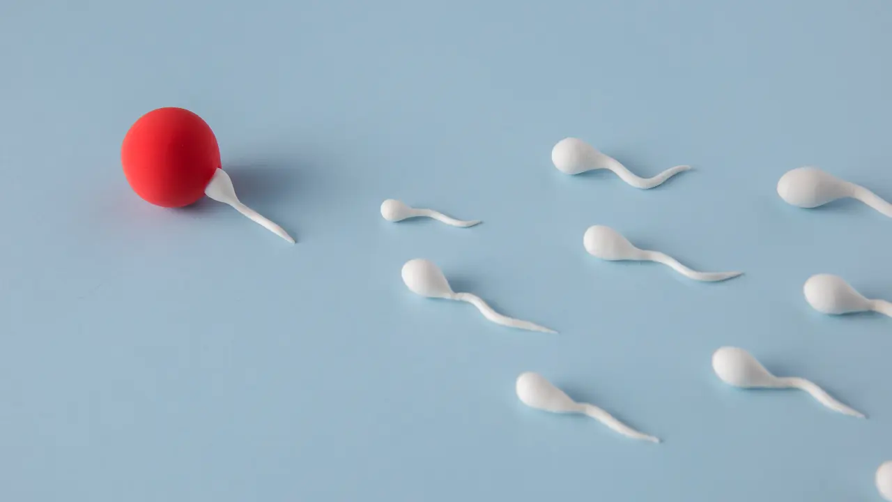 Sperm Count and Male Fertility_ Natural Herbal Solutions for Better Reproductive Health