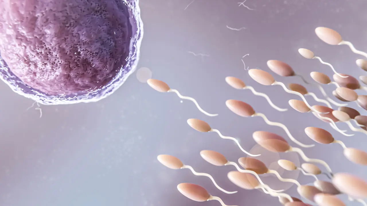 How To Treat Azoospermia