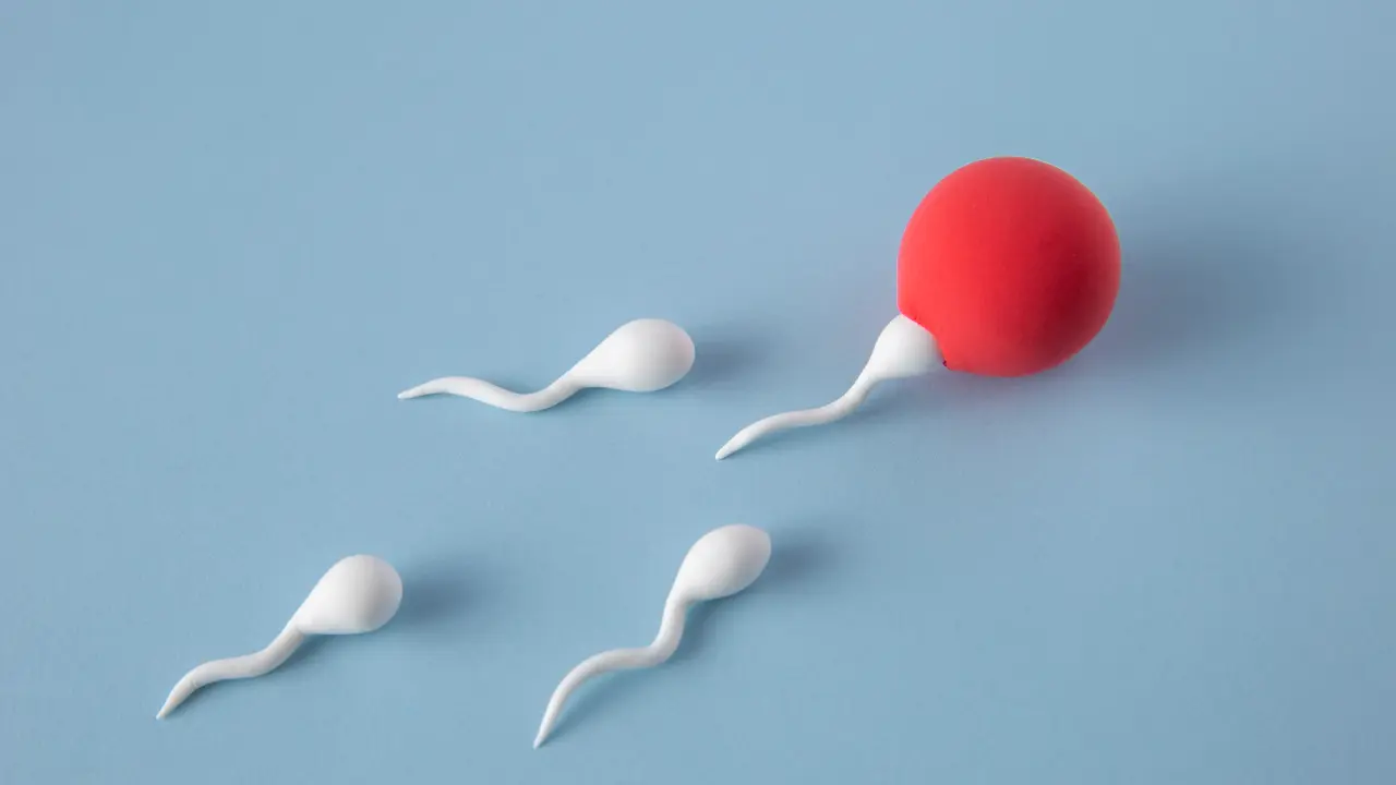 How to Increase Sperm Count