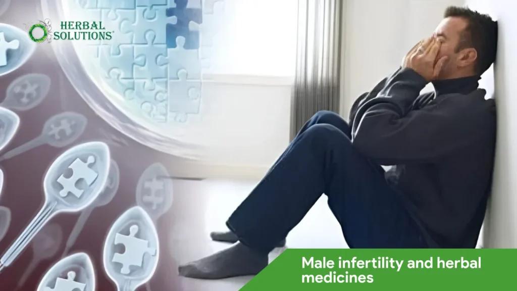 Male infertility and herbal medicines
