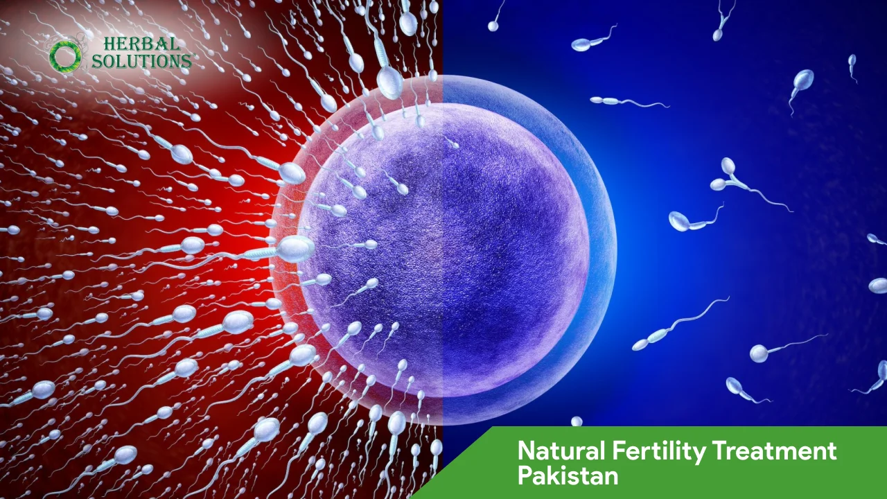Natural Fertility Treatment Pakistan