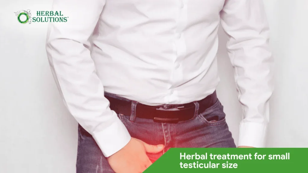 herbal treatment for small testicular size