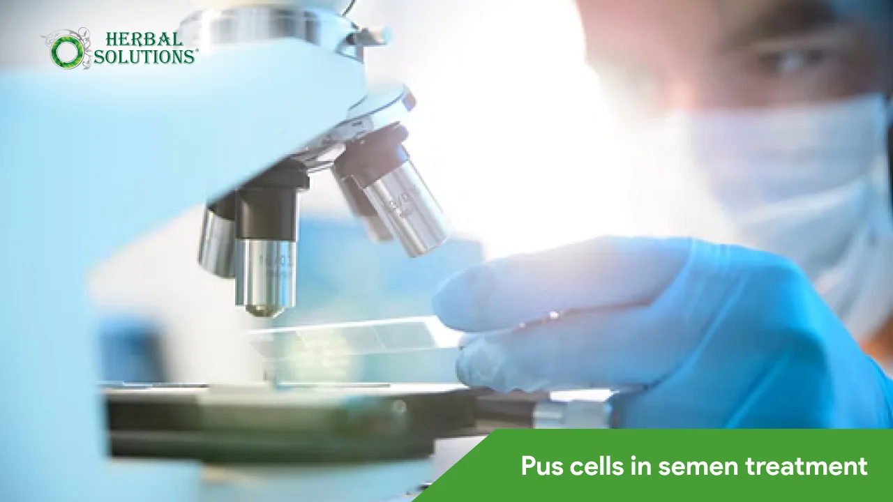 Pus cells in semen treatment