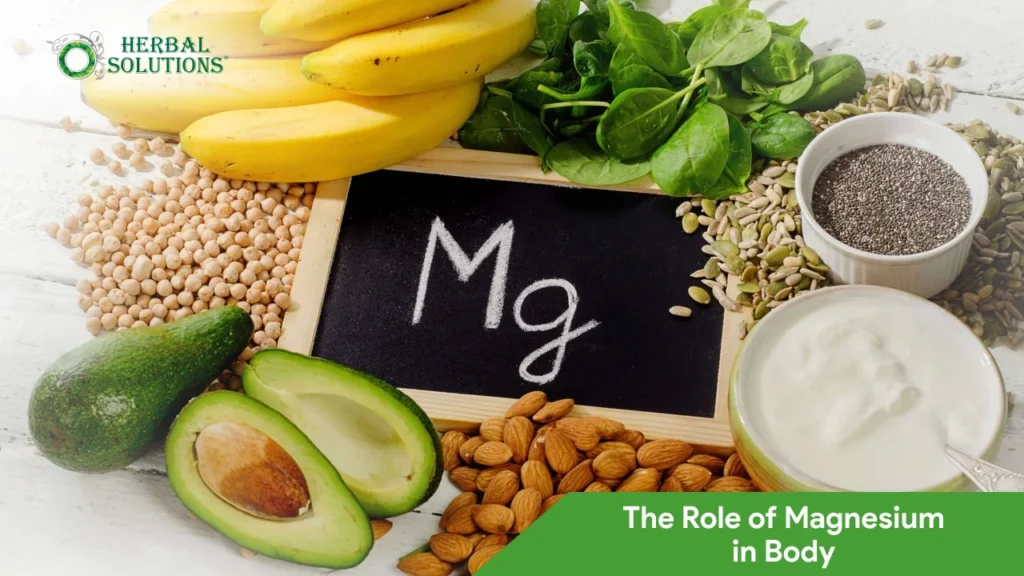 The Role of Magnesium in Body