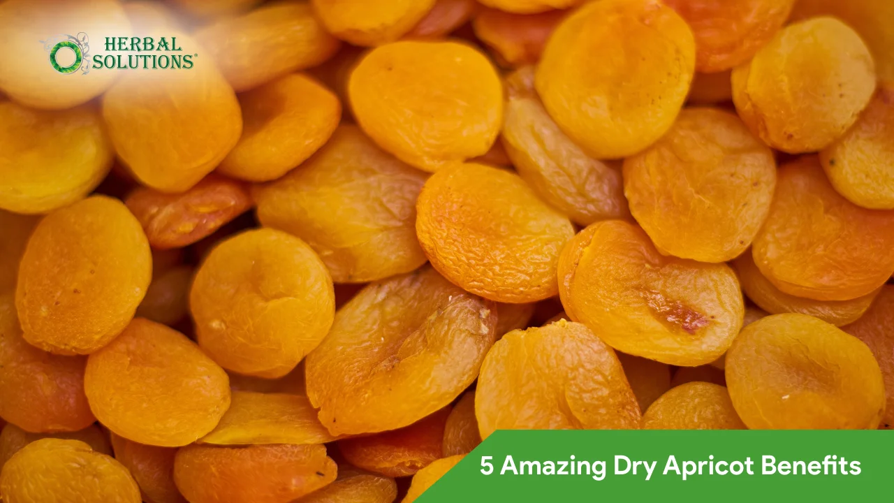 5 Amazing Dry Apricot Benefits