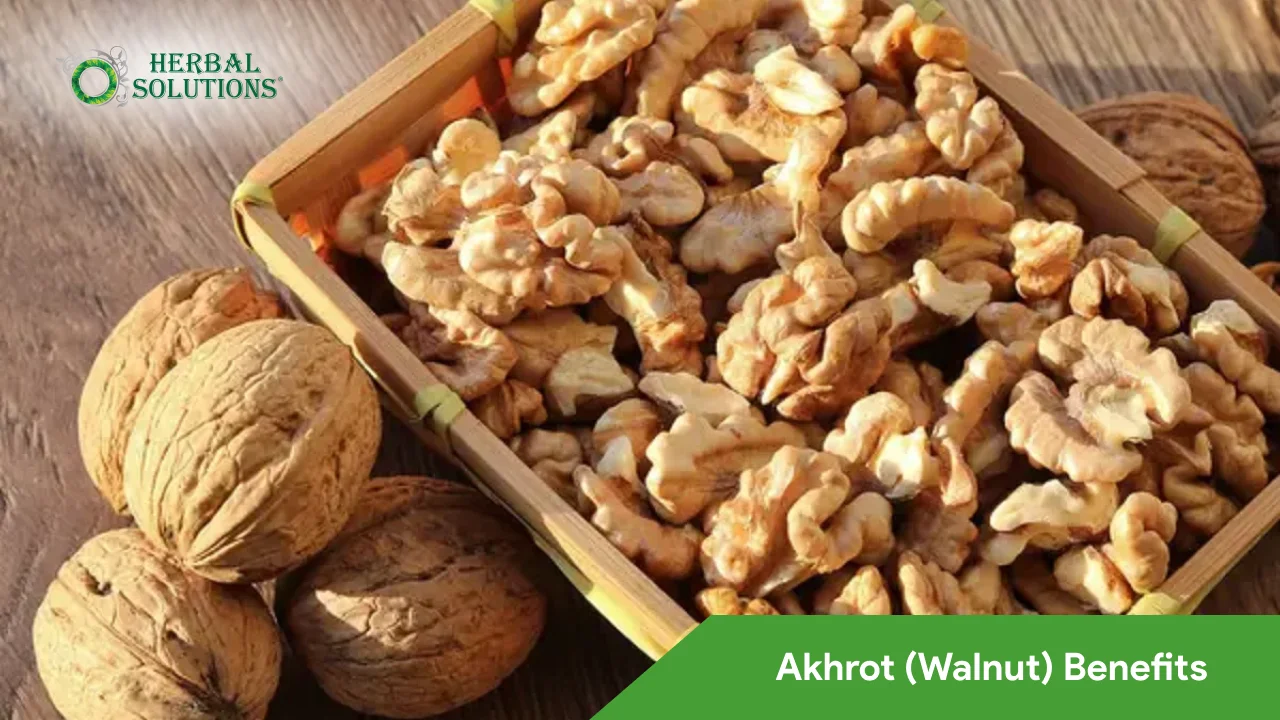 Akhrot Walnut Benefits